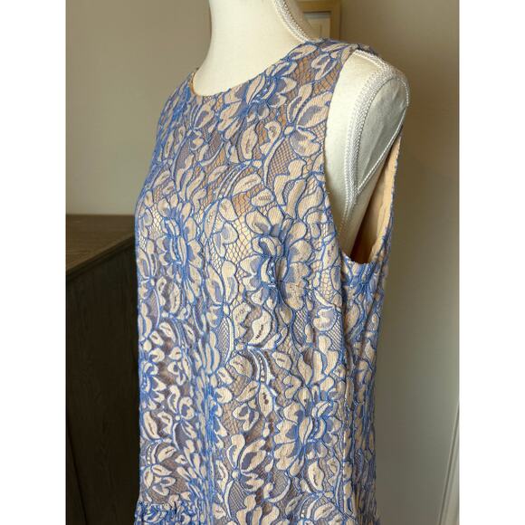 Eliza j | Blue/Neutral Lace Shift Dress | Medium - Picture 8 of 16